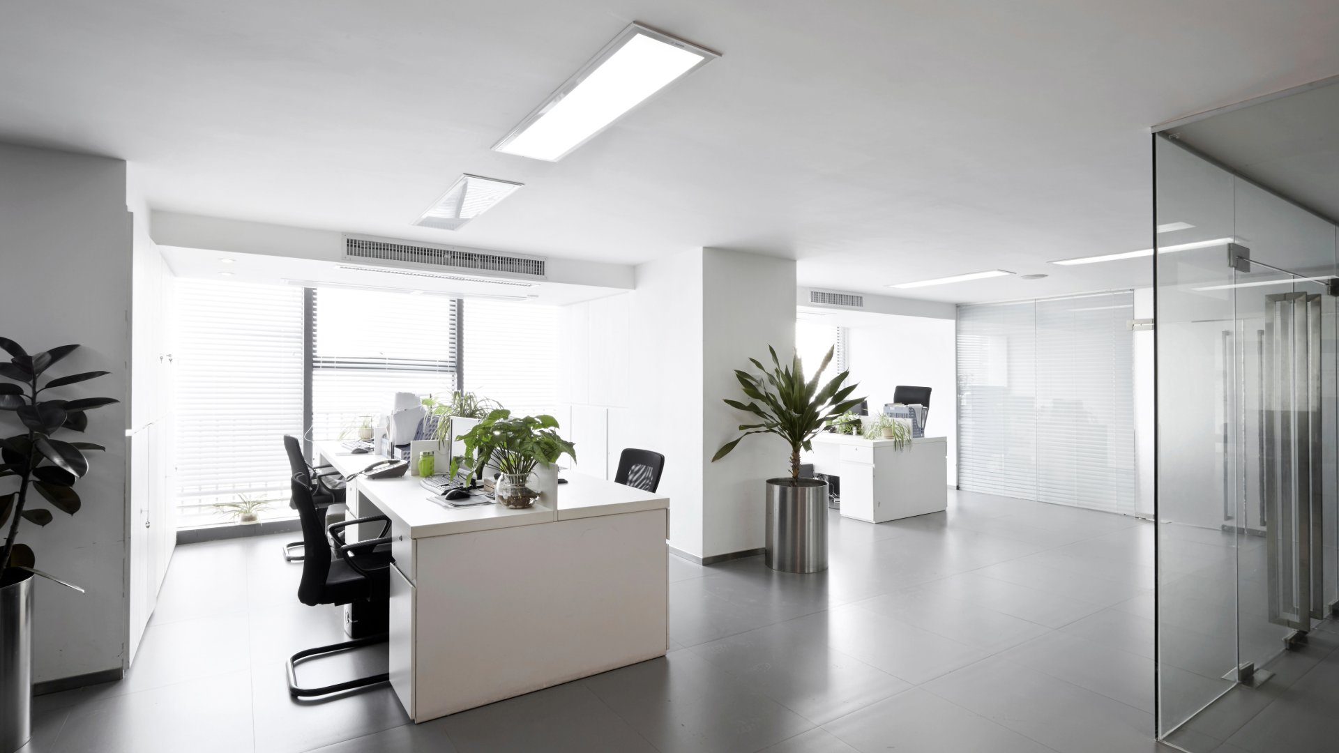 Commercial build-out interior by Anchor Contracting KC